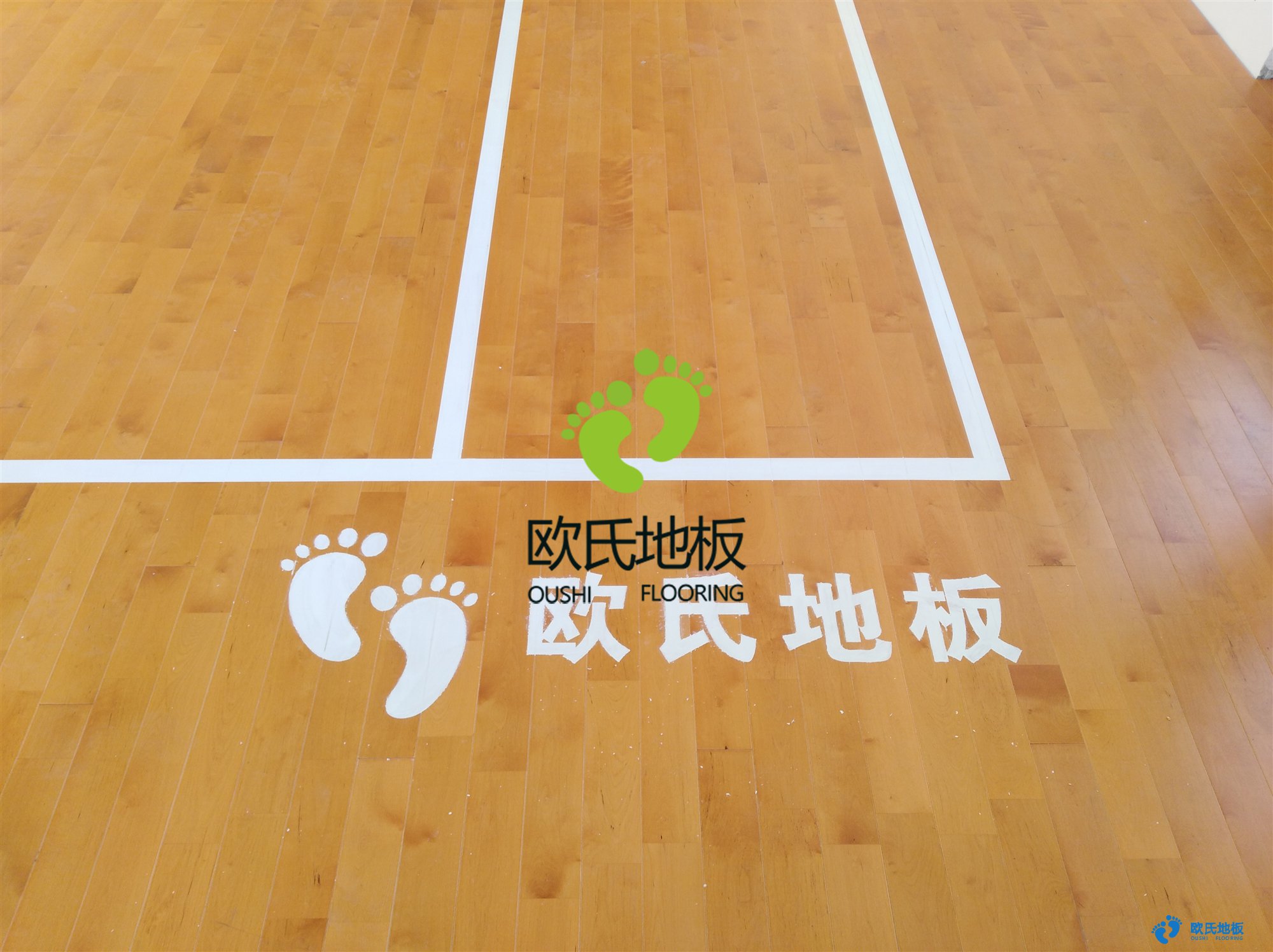 龍口藍(lán)羽俱樂部運(yùn)動木地板多少錢一平平