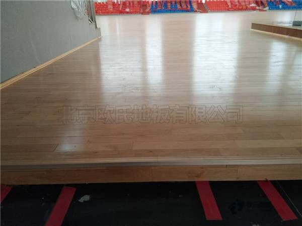 購買運(yùn)動(dòng)場館木地板品牌排行2