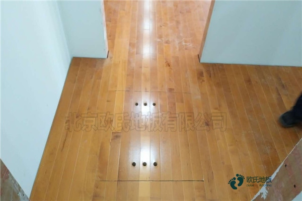 學(xué)校籃球館木地板減震2